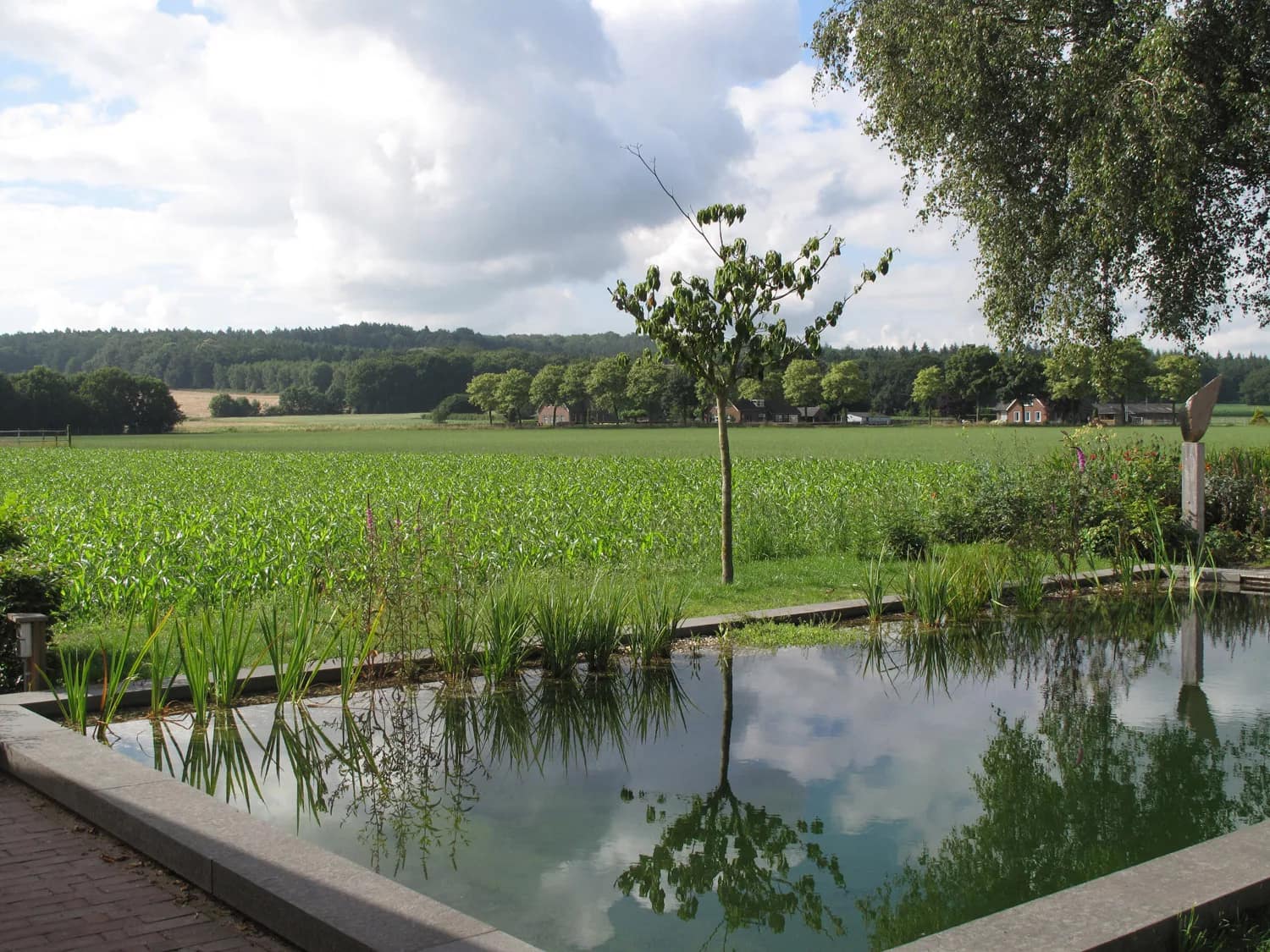 Grote zwemvijver op voorgrond van heuvelachtig landschap
