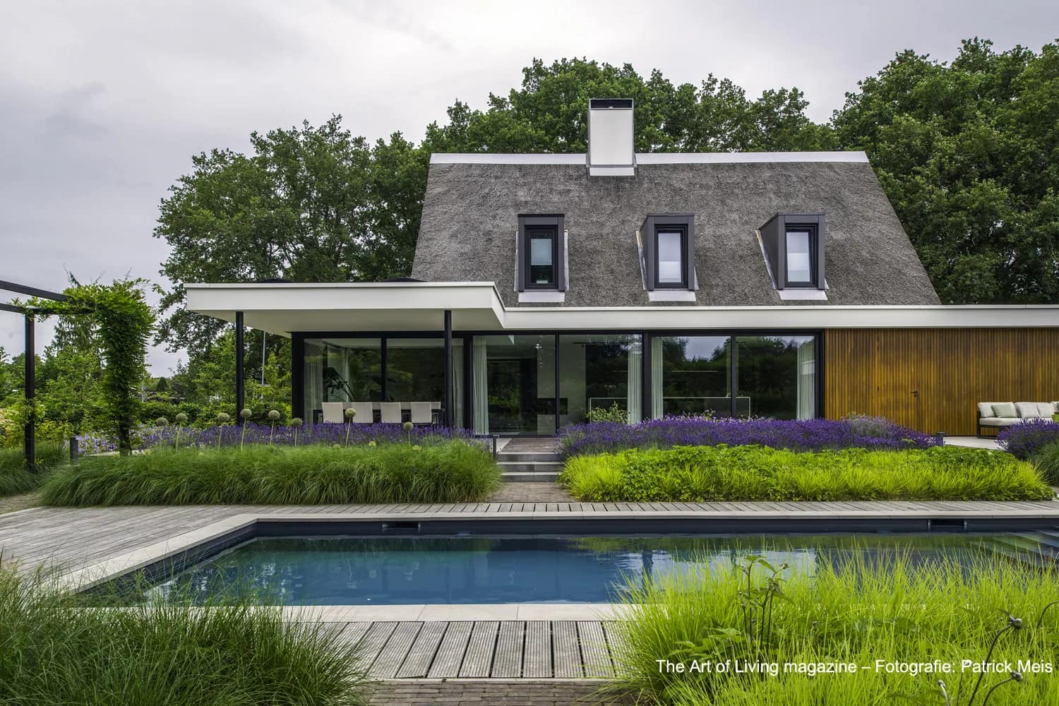 Zwemmen in de Laagte: Zwembad tussen grassen | Het Buitenland Tuin en Landschap (zwembadtuin, tuinontwerp Nijmegen, tuinarchitect Nijmegen) Rechthoekig zwembad tussen grassen gelegen voor modern landhuis