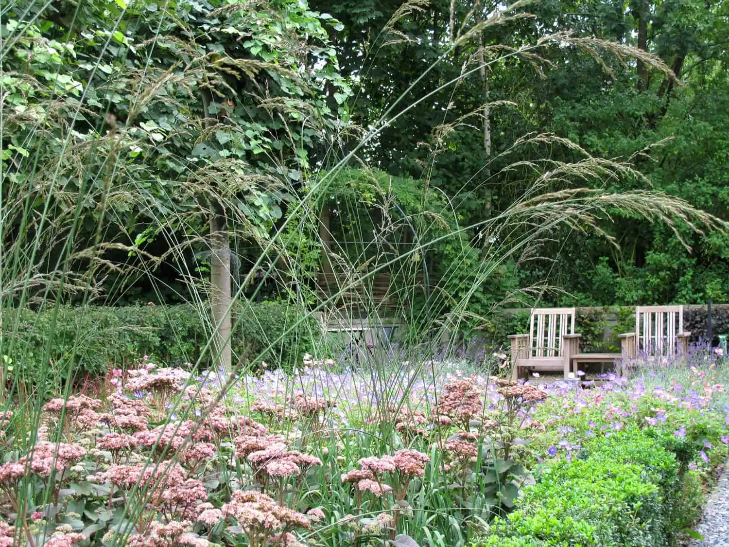 Loungestoelen duiken op achter hoge graspluimen boven sedum