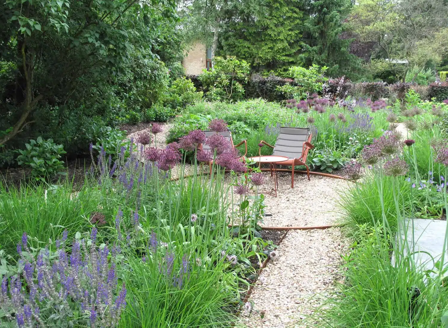 Salvia en siergrassen mengen met purperen sieruien