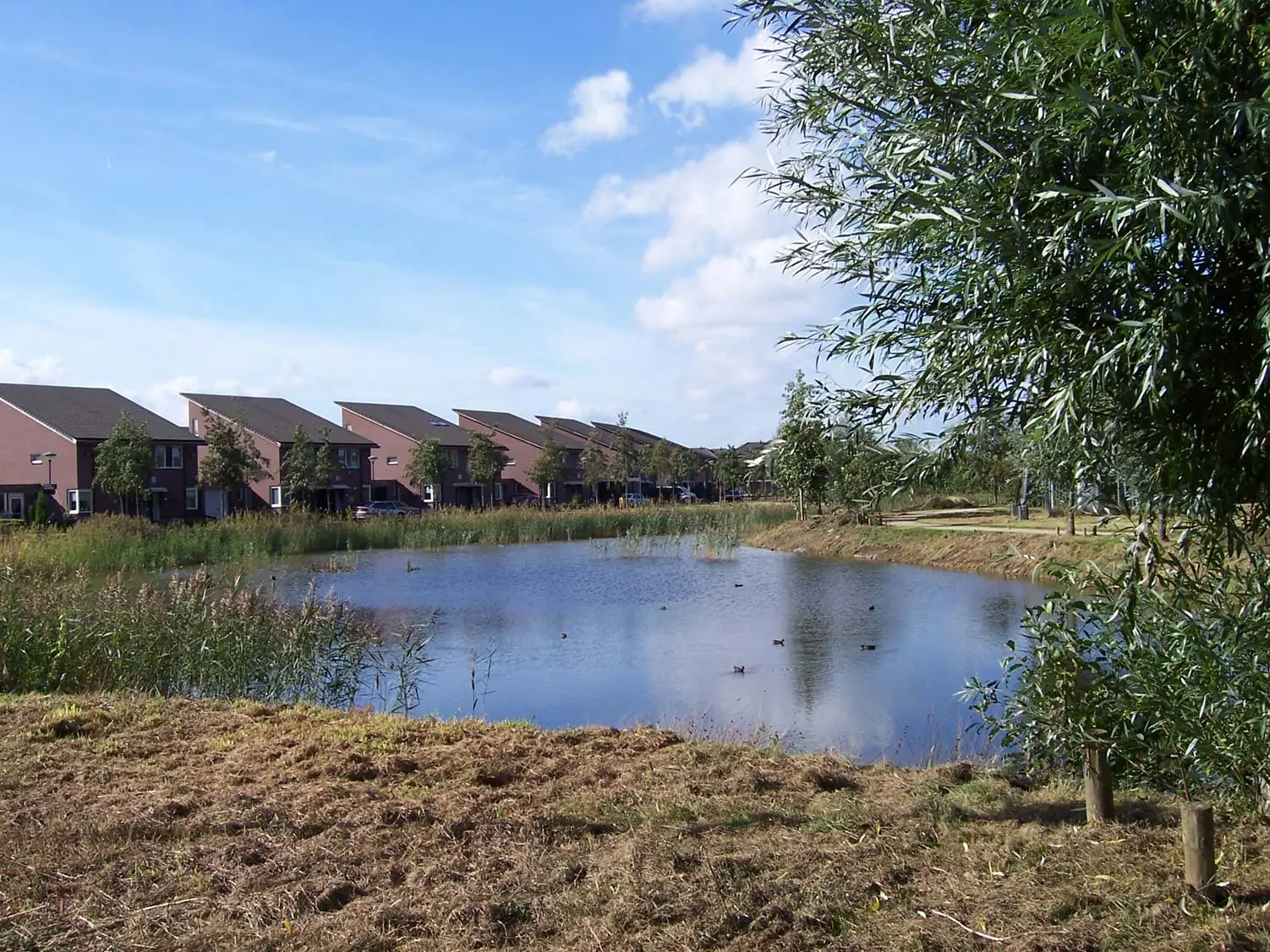 Veld met een meer en wat water