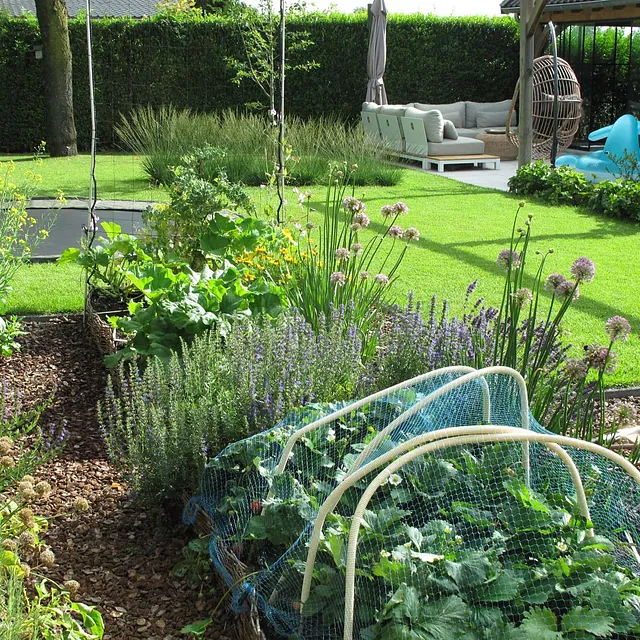 landschaps-tuinontwerp eten uit je tuin in nijmegen van het buitenland met fleurige planten om te eten in de moestuin