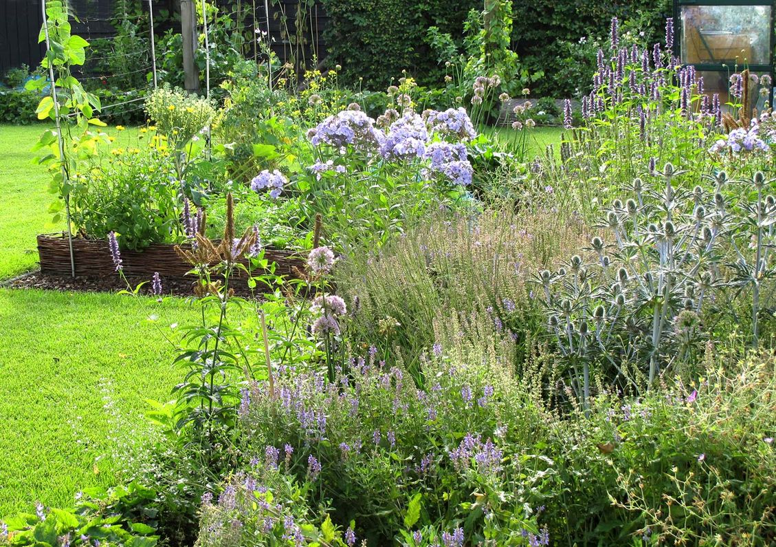 landschaps-tuinontwerp eten uit je tuin in nijmegen van het buitenland met een close up van een plantenborder voor de moestuin