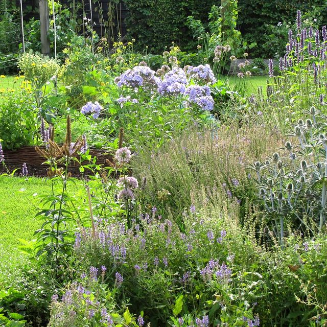 landschaps-tuinontwerp eten uit je tuin in nijmegen van het buitenland met een close up van een plantenborder voor de moestuin