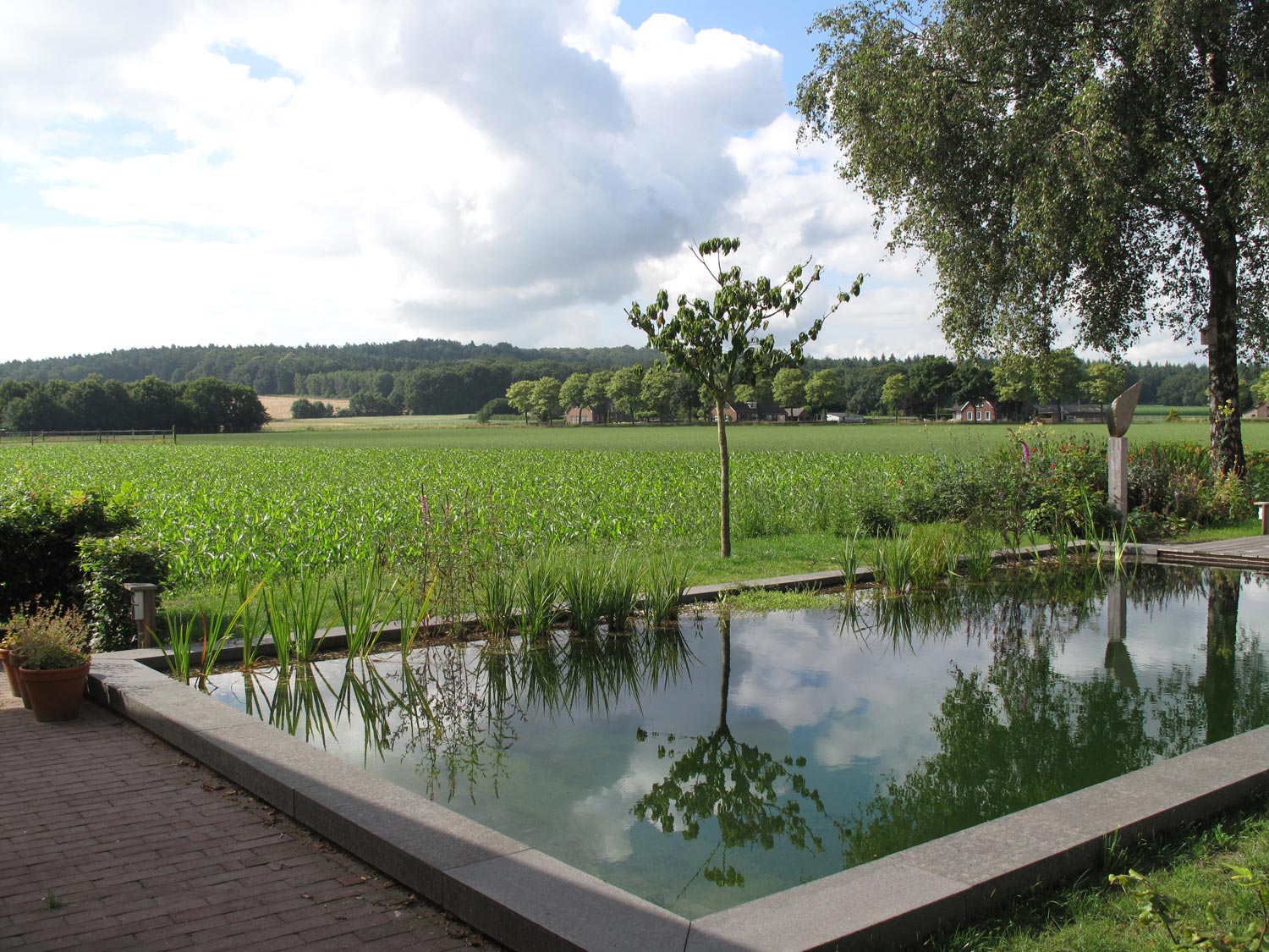 landschaps-tuinontwerp ommeland in nijmegen van het buitenland met een zwemvijver voor het wijds landschap