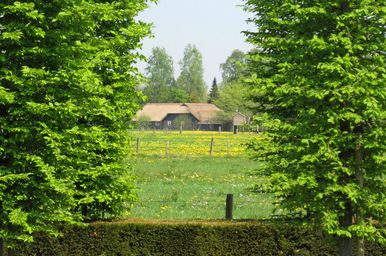 landschaps-tuinontwerp tuin in vorm in nijmegen van het buitenland met een doorkijkje tussen zuilbomen naar een boerderij
