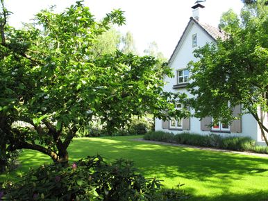 landschaps-tuinontwerp groene oase in nijmegen van het buitenland met de woning ingekaderd door een mispel- en krentenboom