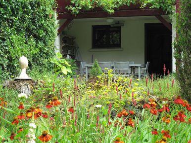 stads-tuinontwerp prairie in het bos in nijmegen van het buitenland met rood oranje prairieplanten voor het eetterras bij het huis
