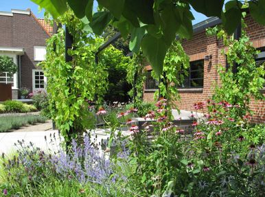 landschaps-tuinontwerp panta rei in nijmegen van het buitenland met een weelderige plantenborder die loungeterras begrenst