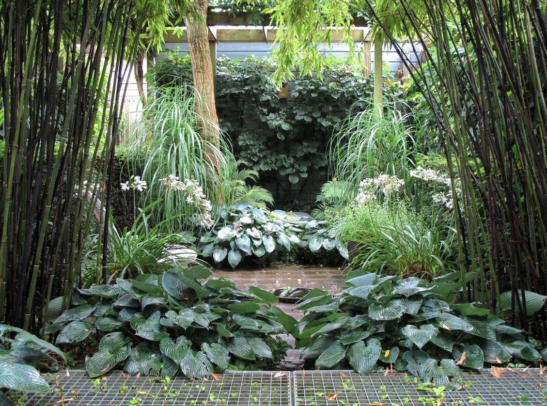 stads-tuinontwerp jungle in nijmegen van het buitenland met de weelderige jungletuin met witte agapanthus na een regenbui