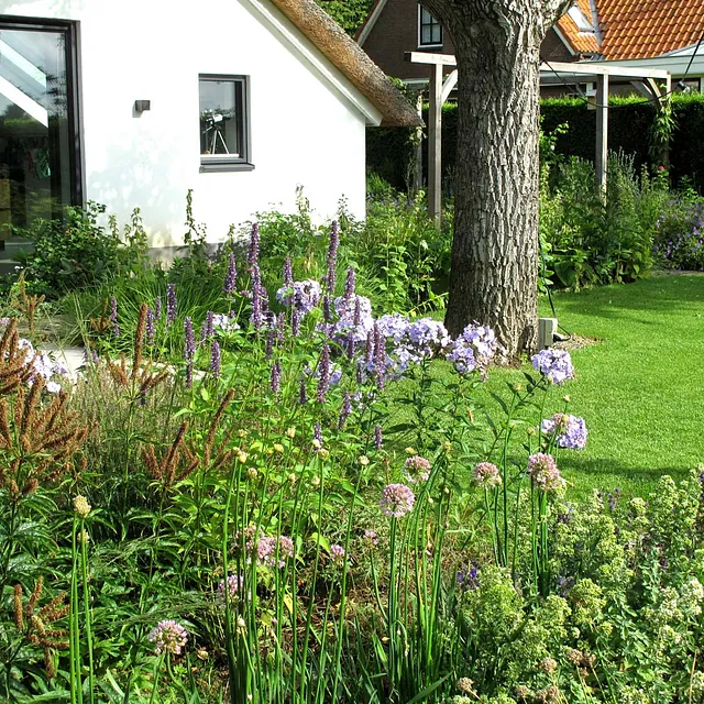 landschaps-tuinontwerp eten uit je tuin in nijmegen van het buitenland met een kleurrijke plantenborder bij het eetterras