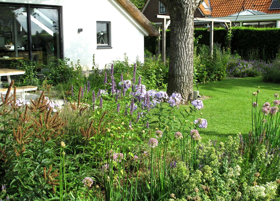landschaps-tuinontwerp eten uit je tuin in nijmegen van het buitenland met een kleurrijke plantenborder bij het eetterras