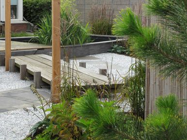 stads-tuinontwerp koi tuin in nijmegen van het buitenland met een japanse dennenboom bij een verhoogde houten loopbrug