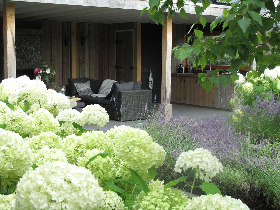 stads-tuinontwerp super lounge in nijmegen van het buitenland met een anabellen border met de overkapping op de achtergrond