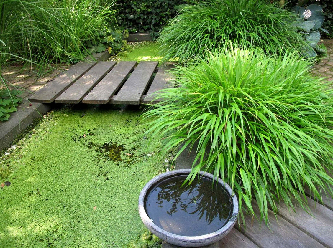 stads-tuinontwerp bergstroom in nijmegen van het buitenland met tot rechthoek omgevormde bergstroom met brug en waterschaal