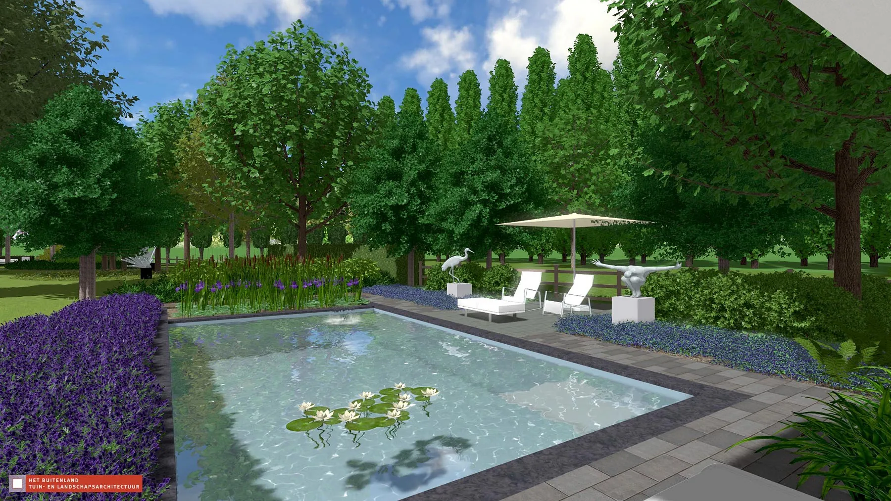 landschaps-tuinontwerp beeldentuin in nijmegen van het buitenland met een rechthoekige vijver met verhoogd houten loungeterras