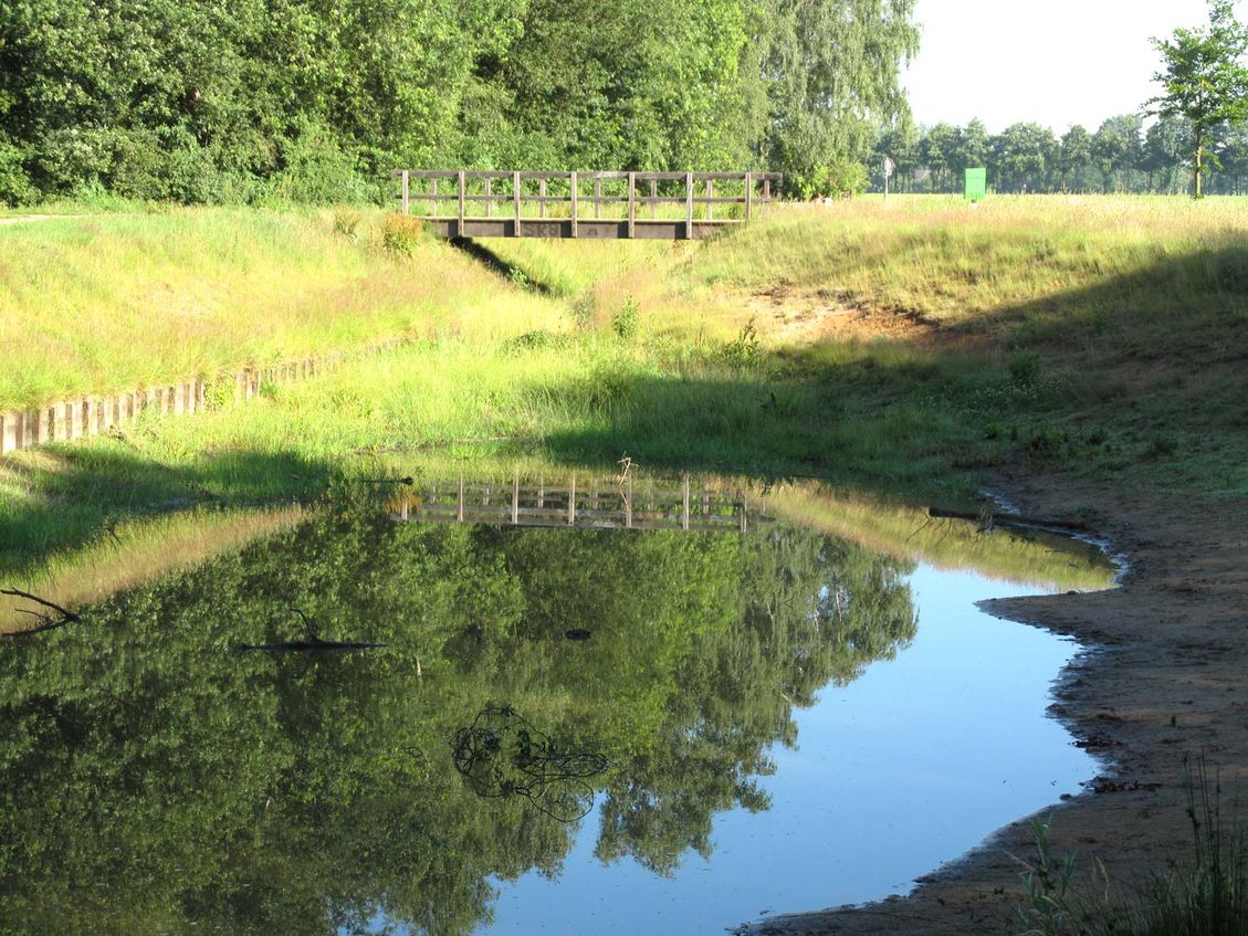 5 kinderfeest landschapsarchitectuur tuinontwerp nijmegen vijver met brug erachter
