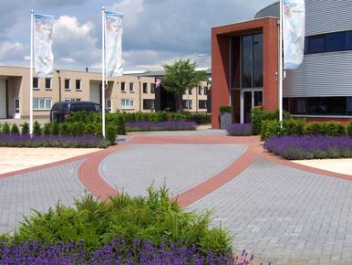 2 de rode loper bedrijfstuinontwerp nijmegen het buitenland lavendelveldjes vergroenen parkeerterrein