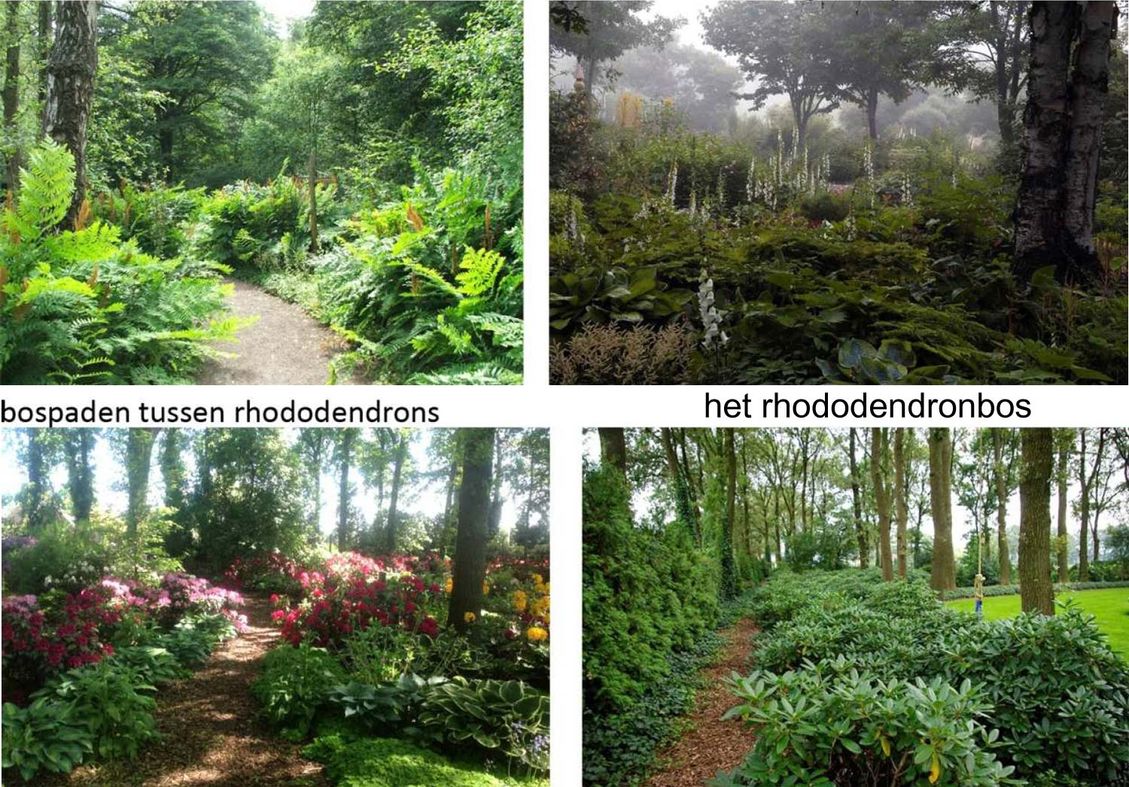 6 mooi nederland landschapsarchitectuur tuinontwerp nijmegen collage nieuw rhododendronbos