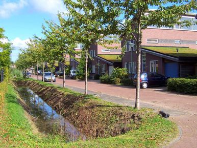 3 archetype landschapsarchitectuur tuinontwerp nijmegen sloot met aangrenzende woningen