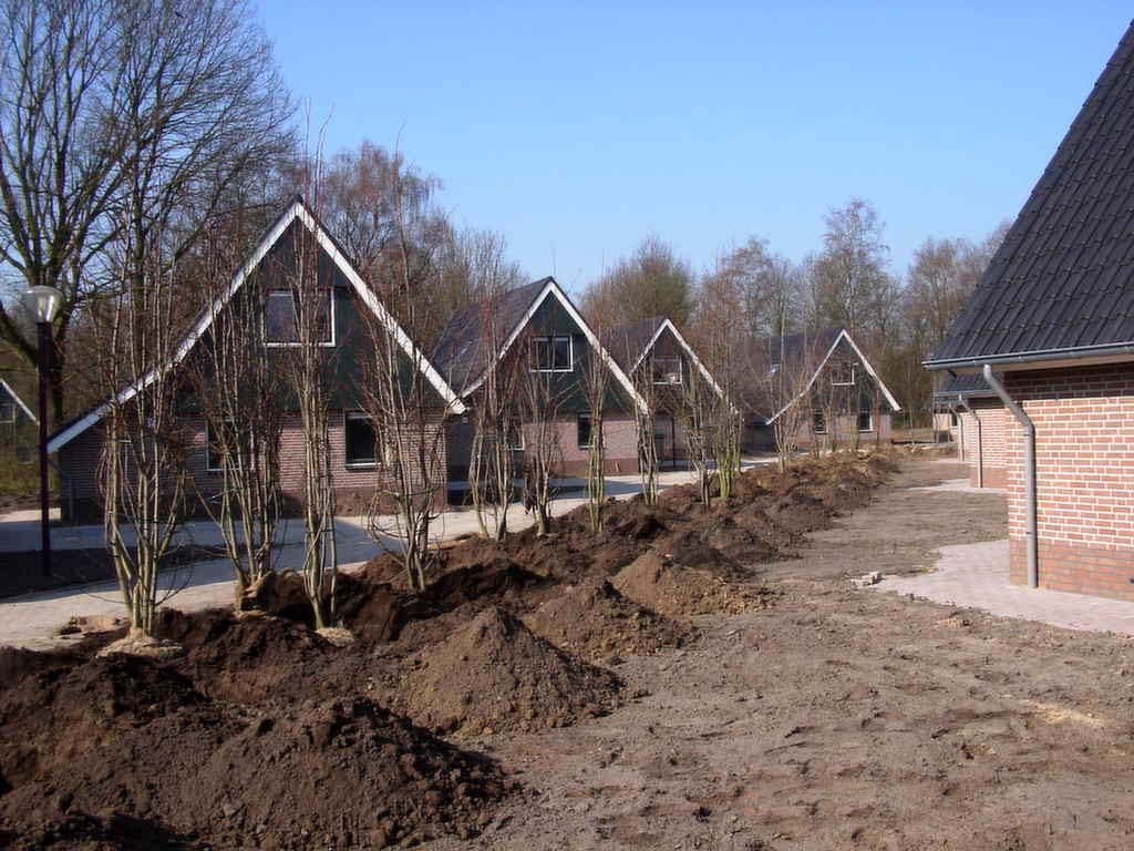 1 schuilplaats landschapsarchitectuur tuinontwerp nijmegen 2 rijen boomstruiken in plantgaten
