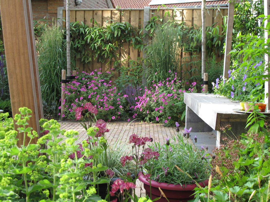 stads-tuinontwerp trapezium in nijmegen van het buitenland met een trapeziumvormig terras omrand door kleurrijke beplanting