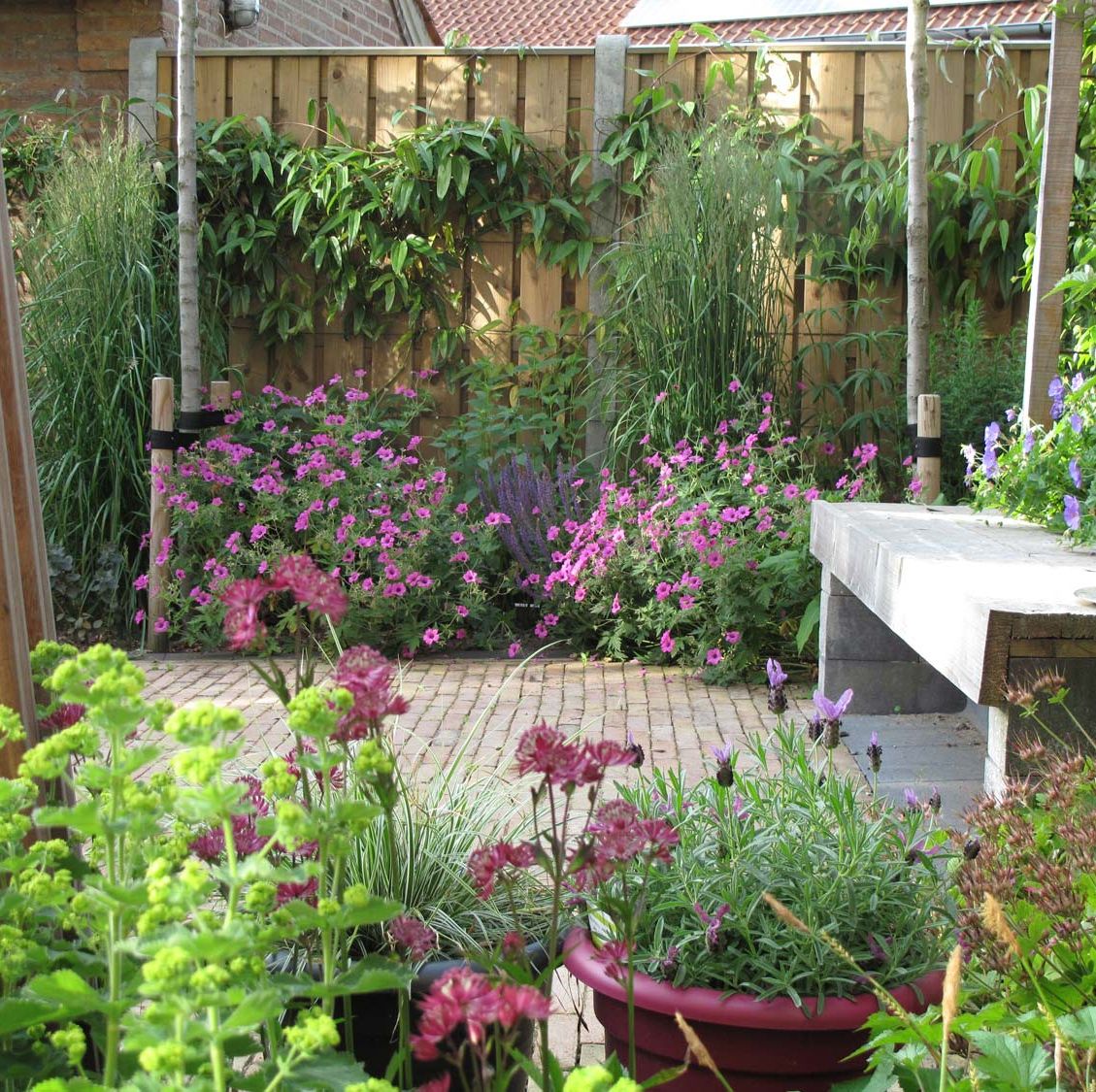 stads-tuinontwerp trapezium in nijmegen van het buitenland met een trapeziumvormig terras omrand door kleurrijke beplanting