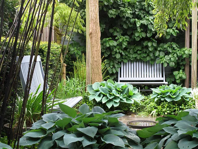 stads-tuinontwerp jungle in nijmegen van het buitenland met weelderige jungle achtige beplanting die de tuinruimte volledig vult