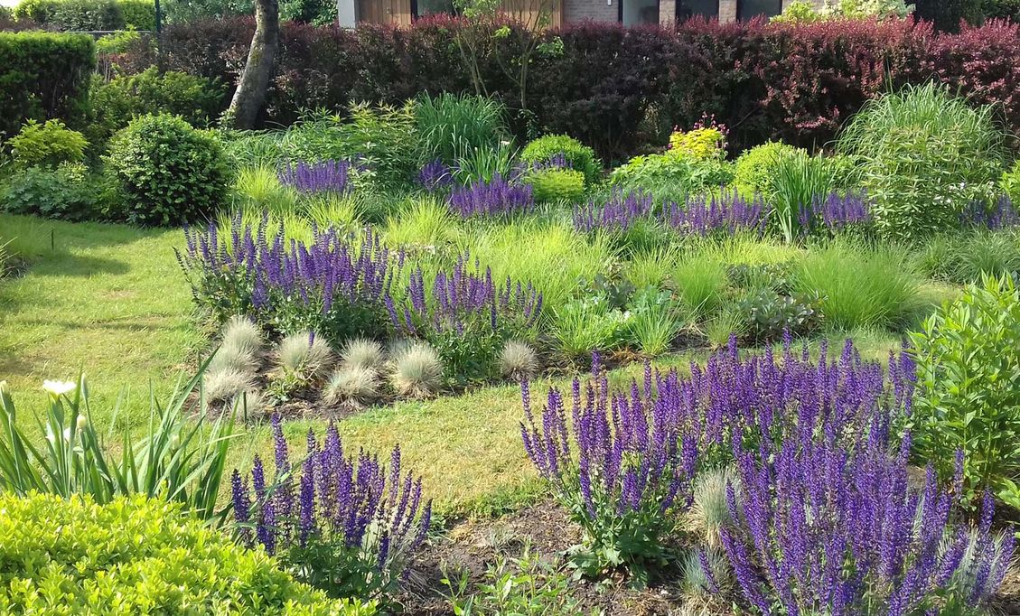 stads-tuinontwerp tribute tuin in nijmegen van het buitenland met een driehoekig plantvak centraal gelegen in paarse bloementuin