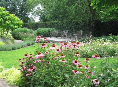 landschaps-tuinontwerp panta rei in nijmegen van het buitenland met een zonnenhoed border voor een rozenperk met vlonder