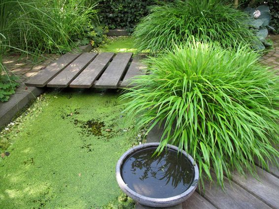 stads-tuinontwerp bergstroom in nijmegen van het buitenland met tot rechthoek omgevormde bergstroom met brug en waterschaal