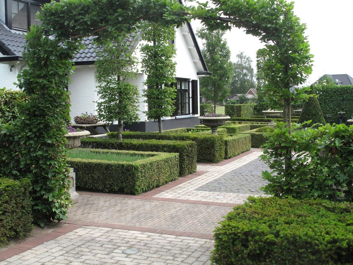 landschaps-tuinontwerp diabolo in nijmegen van het buitenland met een buxusvakken voortuin gezien door een boog van beuk