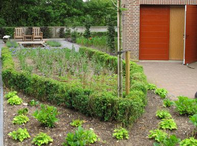 stads-tuinontwerp bossche school 1 in nijmegen van het buitenland met puntvormige buxusvak in zijtuin van een bossche school woning