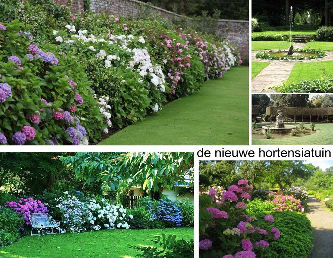 5 mooi nederland landschapsarchitectuur tuinontwerp nijmegen collage nieuwe hortensiatuin