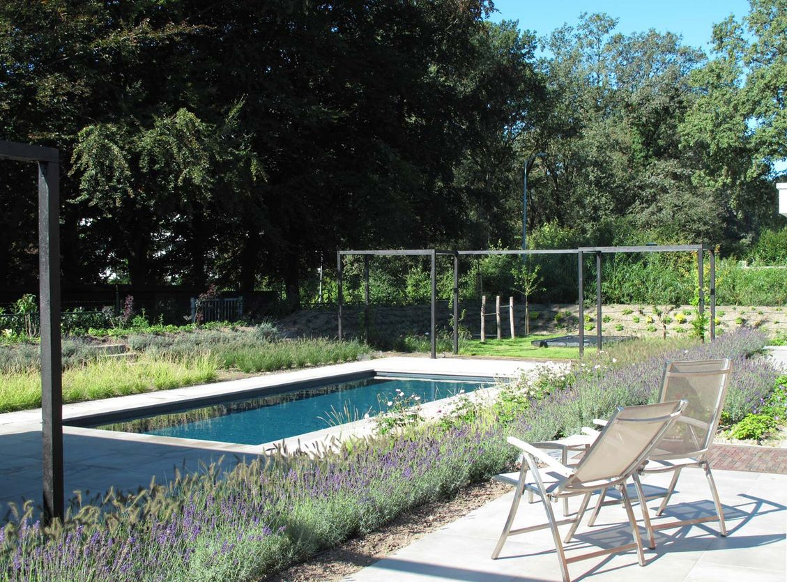 landschaps-tuinontwerp zwemmen in het diepe in nijmegen van het buitenland met verdiept zwembad voor terras met lavendel