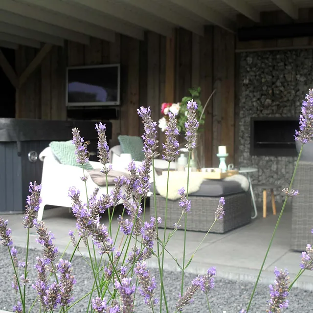 stads-tuinontwerp super lounge in nijmegen van het buitenland met een jacuzzi en loungeset bij de open haard onder de overkapping