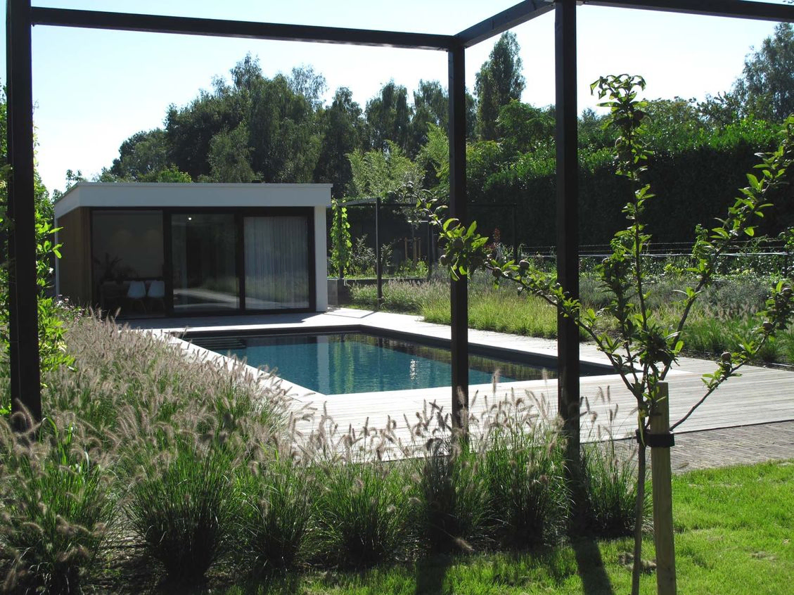landschaps-tuinontwerp zwemmen in het diepe in nijmegen van het buitenland met zwarte pergola met grassen langs zwembad