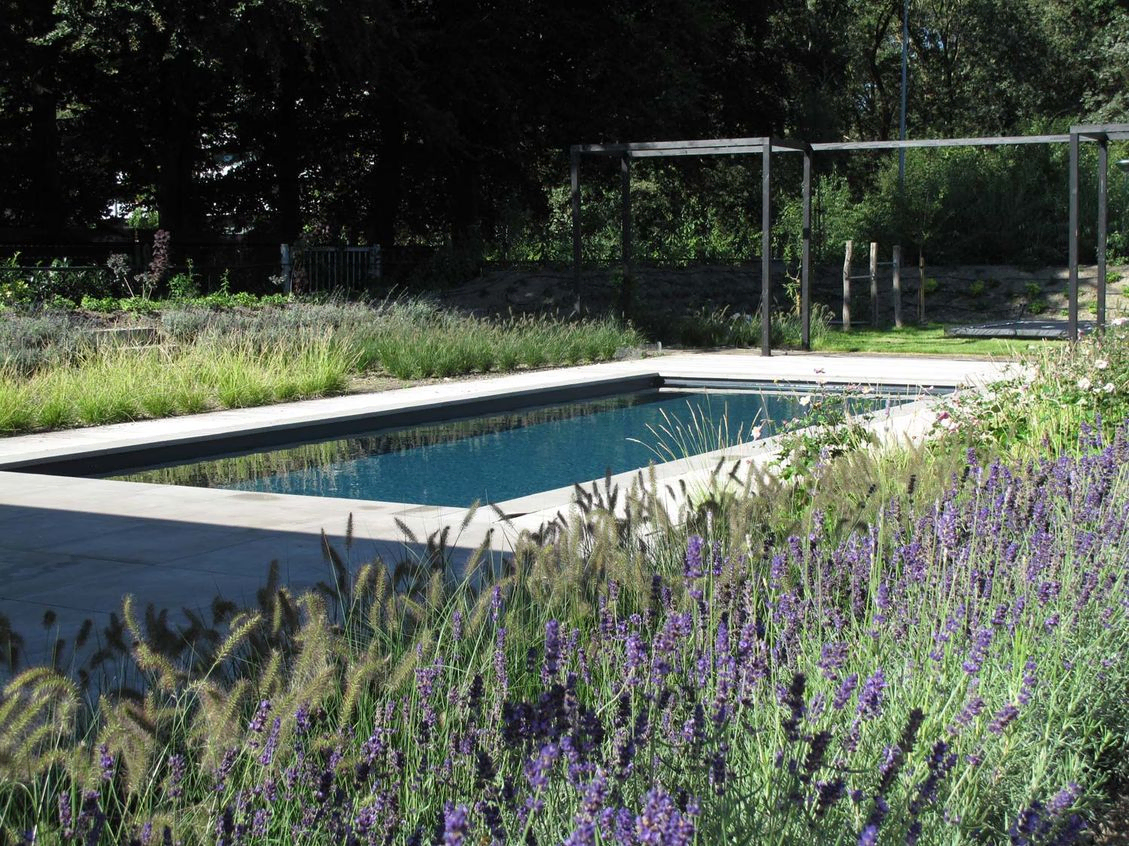 landschaps-tuinontwerp zwemmen in het diepe in nijmegen van het buitenland met verdiept zwembad voor een zwarte pergola