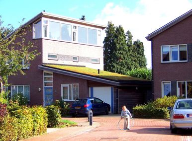 6 archetype landschapsarchitectuur tuinontwerp nijmegen 2 lessenaars woningen met grasdaken