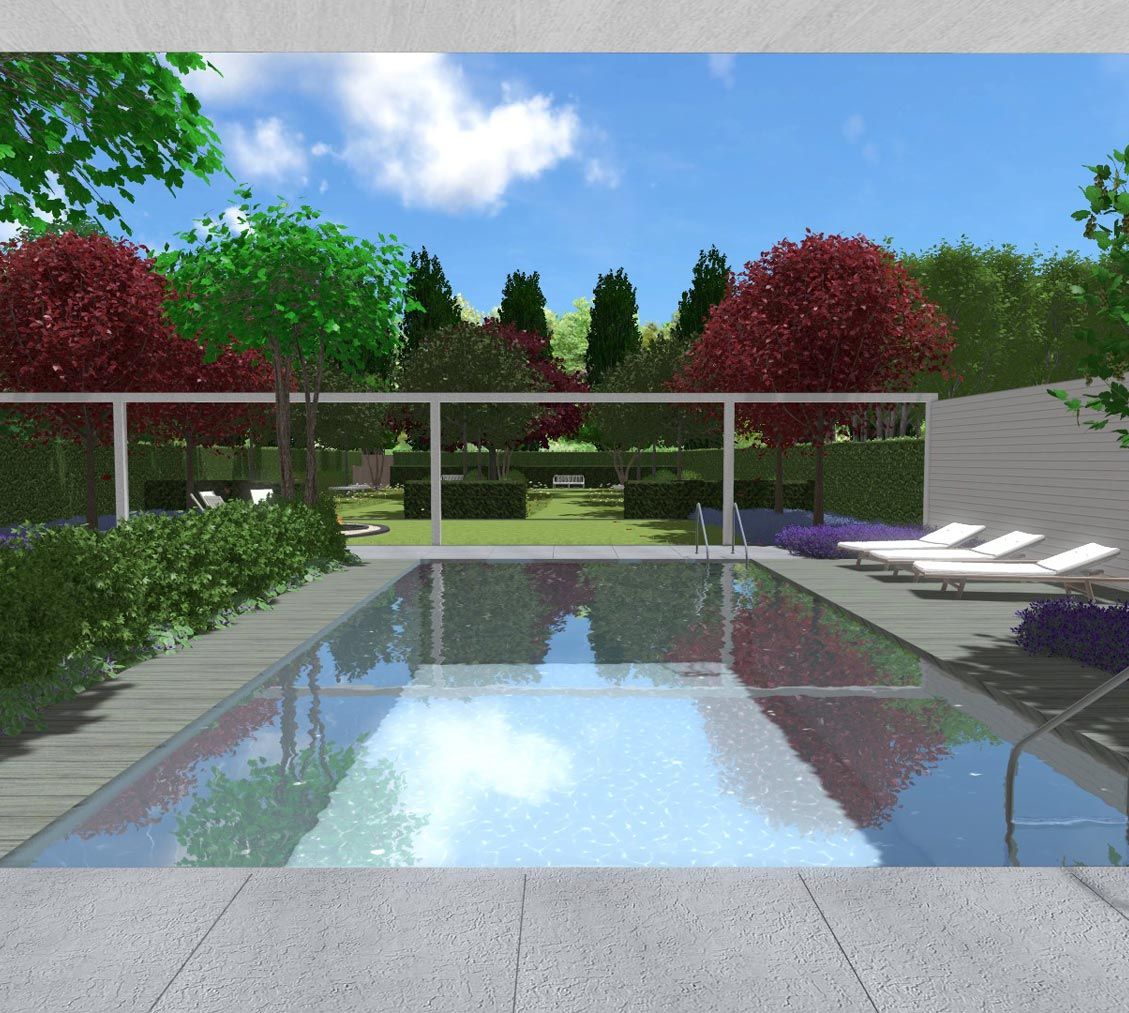 landschaps-tuinontwerp het glazen huis in nijmegen van het buitenland met zicht over een rechthoekig zwembad naar een boomgaard