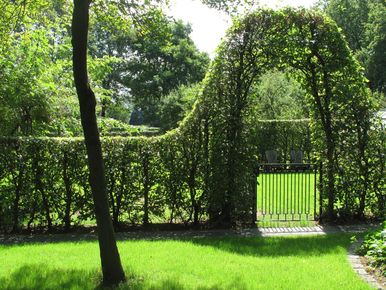 landschaps-tuinontwerp groene oase in nijmegen van het buitenland met een beukenhaag met poortboog