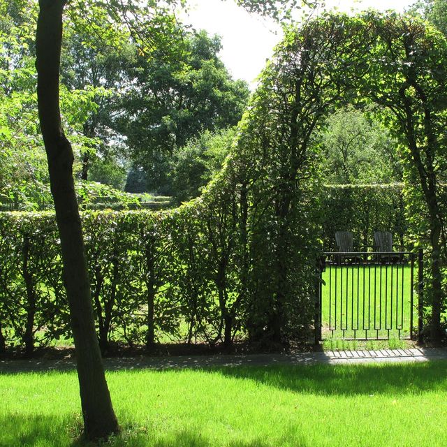 landschaps-tuinontwerp groene oase in nijmegen van het buitenland met een beukenhaag met poortboog