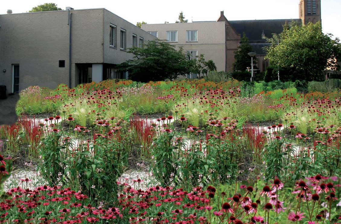 4 werken in de prairie bedrijfstuinontwerp nijmegen het buitenland zonnehoed prairie