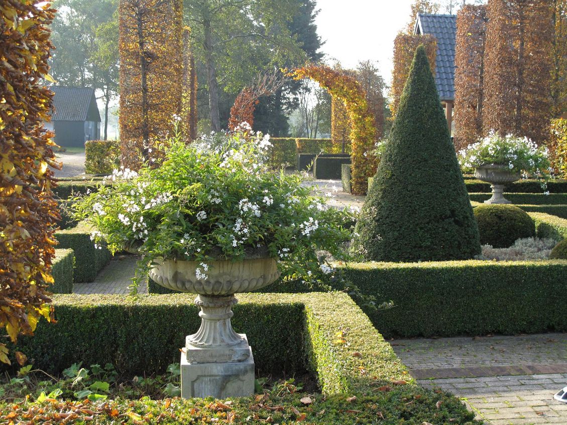landschaps-tuinontwerp diabolo in nijmegen van het buitenland met klassieke pot met witte overhangende bloemen in buxusvak 