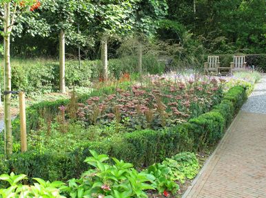 stads-tuinontwerp bossche school 1 in nijmegen van het buitenland met de punt van een buxusvak met sedum planten en grassen