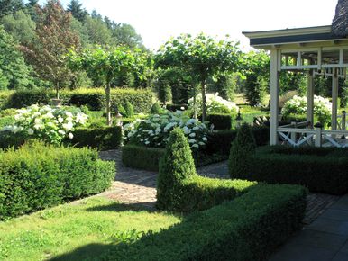 landschaps-tuinontwerp tuin in vorm in nijmegen van het buitenland met een tuin met veel in vorm gesnoeide hagen en bomen