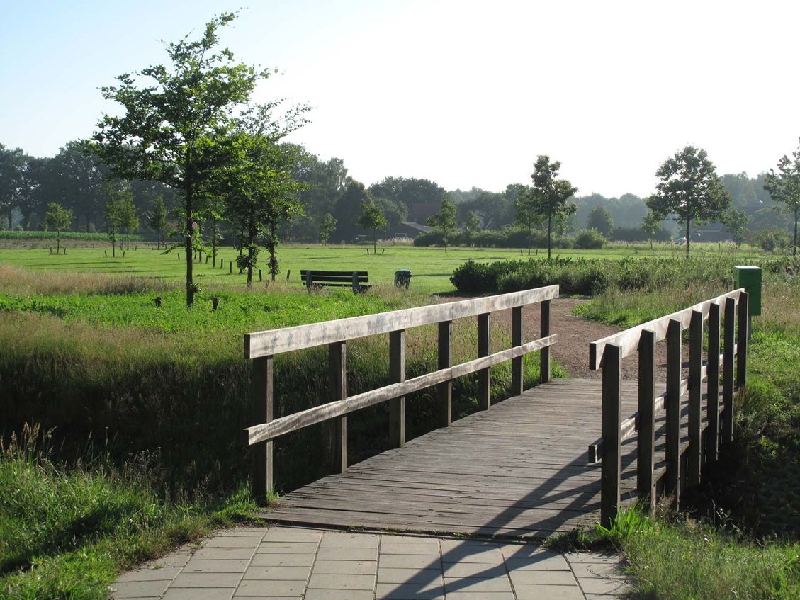 6 kinderfeest landschapsarchitectuur tuinontwerp nijmegen close up brug met groene bomen erachter