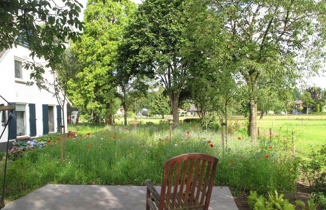 landschaps-tuinontwerp ommeland in nijmegen van het buitenland met klaprozen bloemenweide gezien vanuit een schommelstoel