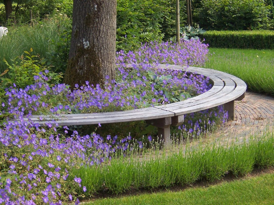 landschaps-tuinontwerp diabolo in nijmegen van het buitenland met halfrond tuinbankje tussen blauwe geraniums