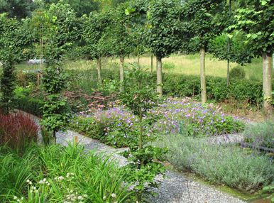 stads-tuinontwerp bossche school 1 in nijmegen van het buitenland met splitpaden in plantentuin begrensd door leibomen en weide